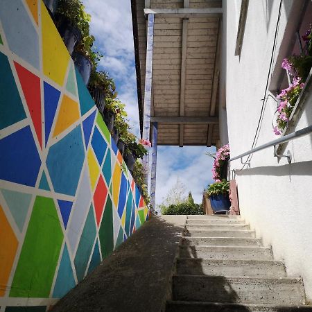 Seenah - Ihre Wohnung Am Bodensee / Untersee 盖恩霍芬 外观 照片