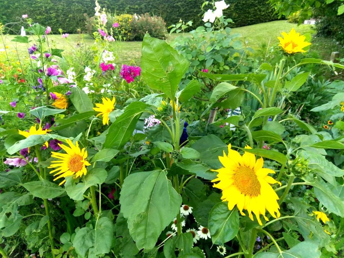 Seenah - Ihre Wohnung Am Bodensee / Untersee 盖恩霍芬 外观 照片